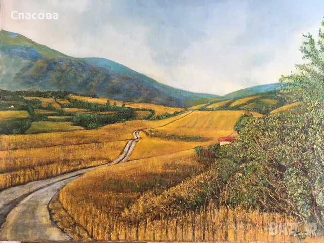 Гледка към Витоша