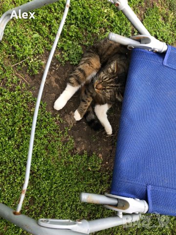 Електрофон Юбилейный, снимка 2 - Други - 40191078