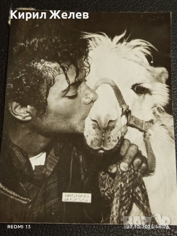 Стара рядка снимка картичка на ПОП ИКОНАТА Michael Jackson рядка за КОЛЕКЦИЯ 51168, снимка 6 - Колекции - 52143676