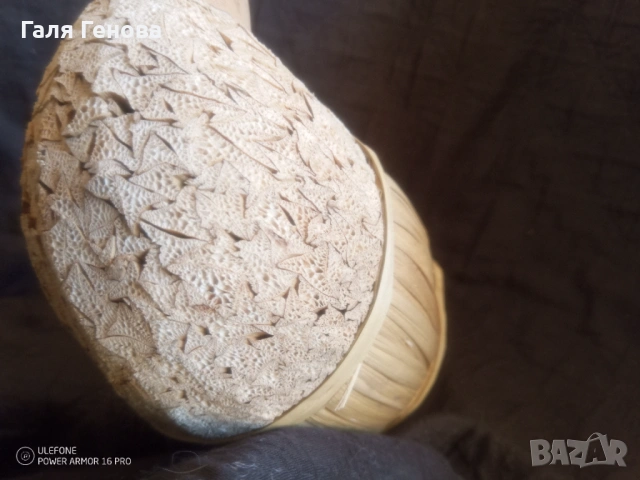 Патица примамка, снимка 3 - Други - 53509373