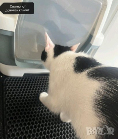 Подложка за котешка тоалетна , снимка 9 - За котки - 41920003
