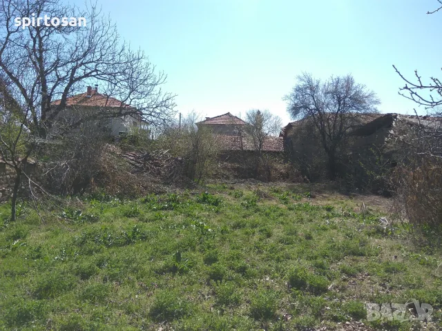 Дворно място в с. Дъбене, снимка 4 - Парцели - 56091175
