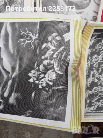 Соц.списания ,,Родна реч,,Лот 31броя., снимка 2 - Специализирана литература - 44242632