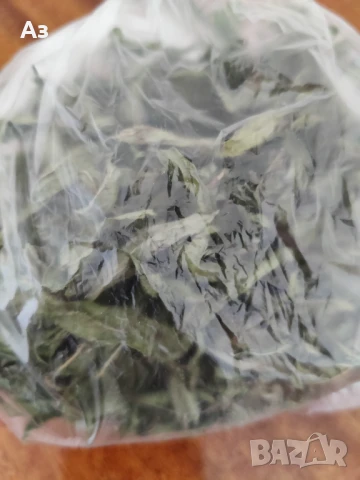 Продавам Сух джоджен (на листа или наронен), реколта 2025г., снимка 3 - Градински цветя и растения - 50670748