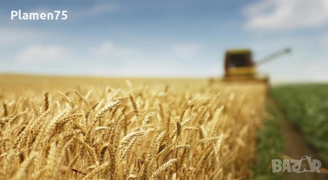 Плодородна Земя 19 декара