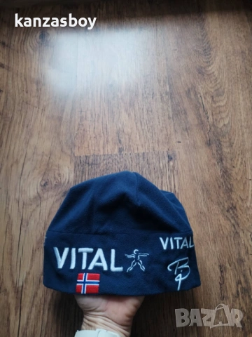 Bjorn Daehlie - страхотна зимна шапка , снимка 5 - Шапки - 53358048