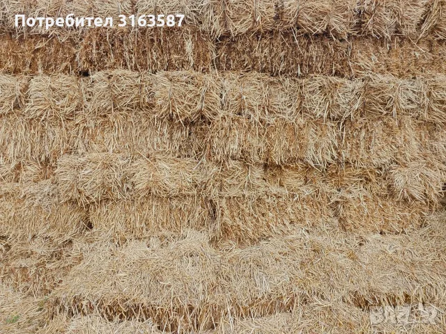 Бали сено и слама, снимка 6 - За селскостопански - 56303164