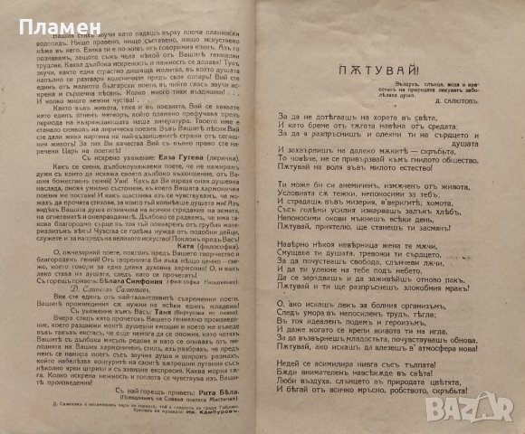 Морски вълни : Стихове  Д. Сливковъ (Салютовъ), снимка 3 - Антикварни и старинни предмети - 40012309