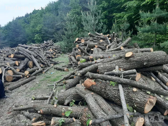 дърва за огрев метровки 