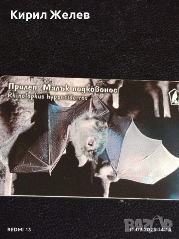 Три фонокарти МОБИКА тема ЖИВОТНИ ЛЕШОЯД, КОСТЕНУРКА, ПРИЛЕП 26915, снимка 3 - Колекции - 51678714