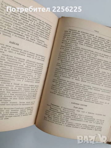 Помология 1958г, снимка 4 - Специализирана литература - 52678038