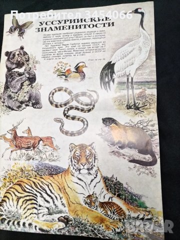 Детски плакати от списание Миша. , снимка 5 - Детски книжки - 49591662