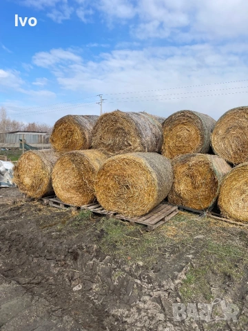 Слама малки и ролонни бали, снимка 4 - За селскостопански - 53711648