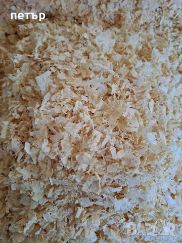 талаш, снимка 4 - Декоративни зайчета - 41752315