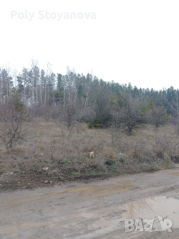Продажба , снимка 4 - Парцели - 52964958