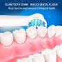 Oral-B комплект от 16 заменяеми Underwiss, снимка 3