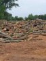 Дърва за огрев , снимка 2