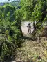 Продава парцел със стара къща в с. Згурово,област Кюстендил, снимка 6