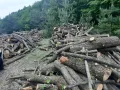 дърва за огрев метровки , снимка 1