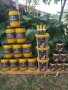 Пчелен мед и прашец реколта 2023г., снимка 1 - Пчелни продукти - 41880994