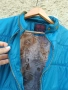 дамско есенно яке синьо XL , снимка 4