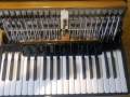 Акоордеон Делиция 96.баса ПРОДАДЕН, снимка 6