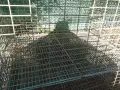 клетки за зайци заводски, снимка 2