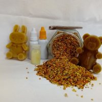 Пчелен прашец, снимка 1 - Пчелни продукти - 22708724