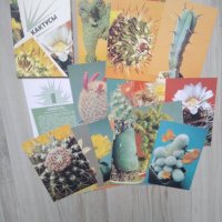 Колекции пощенски картички, руски, стари., снимка 5 - Колекции - 34270369