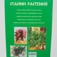 Книга Стайни растения Практична енциклопедия - Жан Кортие 2003 г., снимка 6 - Енциклопедии, справочници - 42321982