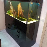 Изработвам сладководни аквариуми по желание и размер на клиента, снимка 14 - Аквариуми - 42346723