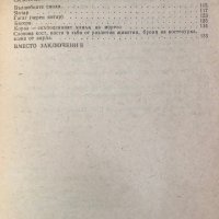 "Скъпоценните камъни от А до Я" Тодор Тодоров, снимка 3 - Специализирана литература - 41904013