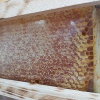 Пчелен Мед в Рамки/Пчелна пита, снимка 7 - Пчелни продукти - 33675855