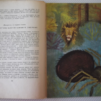 Книга "Вълшебникът от Оз - Лиман Франк Баум" - 112 стр., снимка 6 - Детски книжки - 36459881