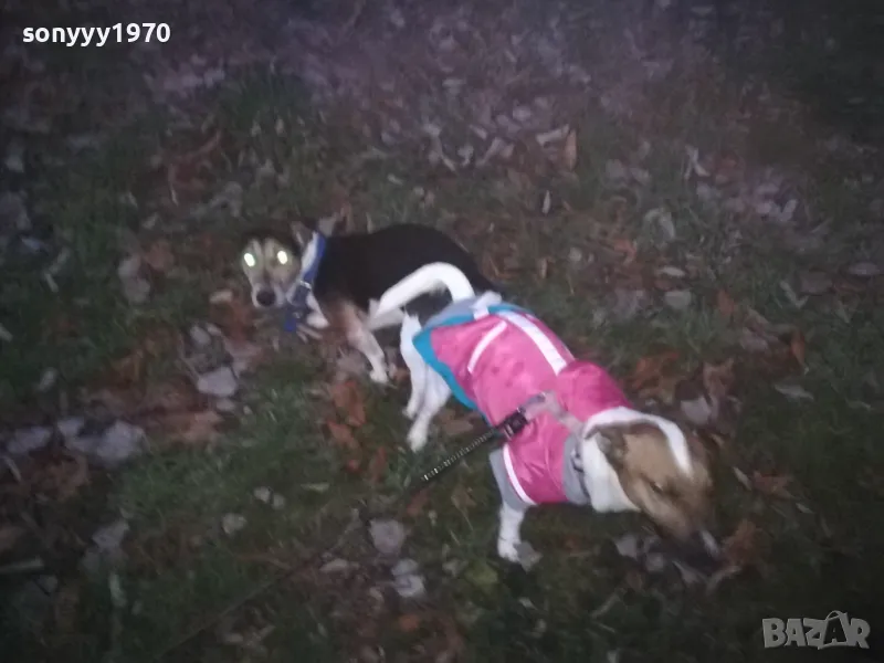 джак и новата му любов сара 2812241805, снимка 1