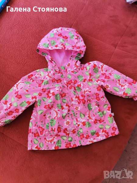 Пролетно - есенно  якенце, снимка 1