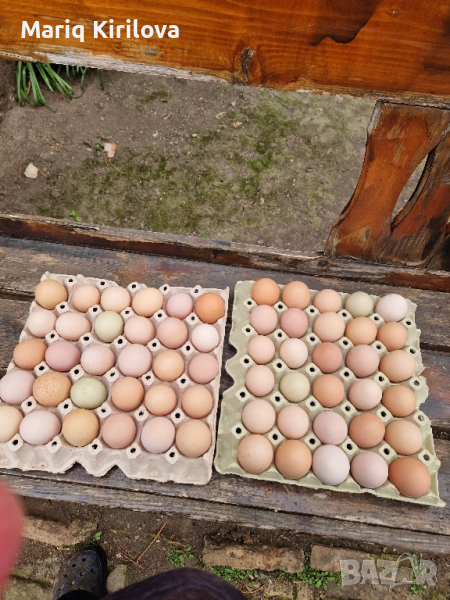 Продавам домашни яйца 12лв.картона , снимка 1
