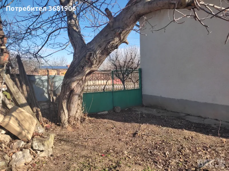 продава дворно място в с.Пелишат, снимка 1