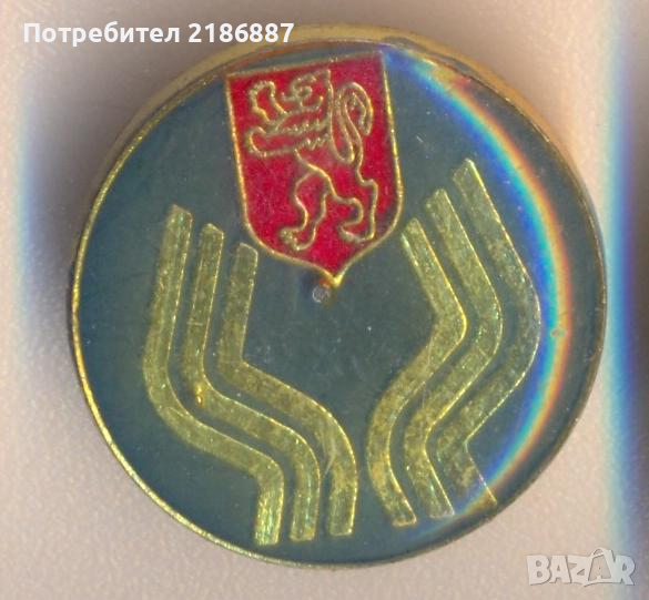 Значка, снимка 1