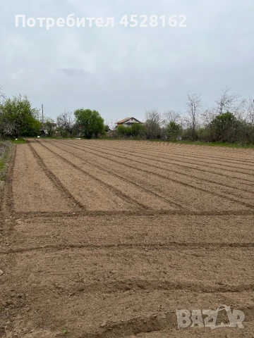 Дворно място в регулация с ток и вода, снимка 2 - Парцели - 50965575