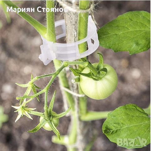 Скоби за домати колове растения връзване поддръжка пластмасови зеленчуци, снимка 6 - Градински инструменти - 36410132