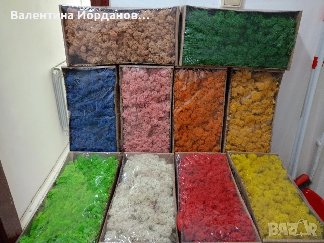 скандинавски мъх 