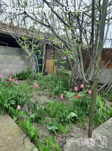 ПРОДАВАМ КЪЩА В С ТРЪСТИКОВО ОБЩ АВРЕН , снимка 13 - Други услуги - 56181881
