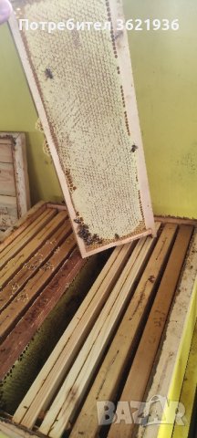 Пчелен мед от кориандър.