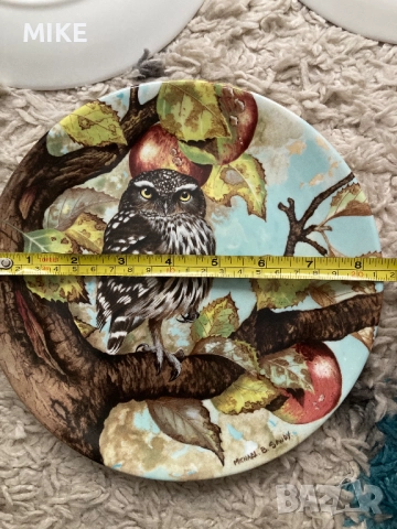 Декоративни порцеланови чинии Coalport, снимка 7 - Декорация за дома - 52324685