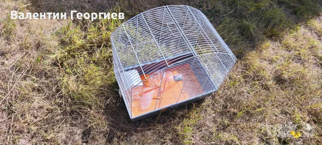 Клетка за птици , снимка 4 - За птици - 56350373