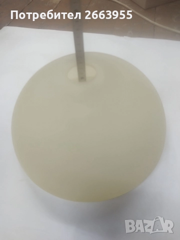 полилеи , снимка 3 - Полилеи - 52639372