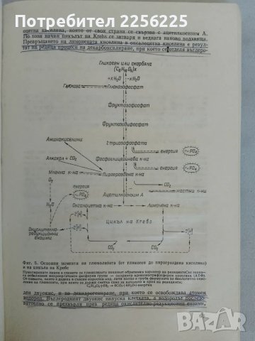 Обща биология, снимка 7 - Специализирана литература - 47493954