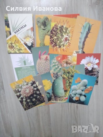 Колекции пощенски картички, руски, стари., снимка 5 - Колекции - 34270369