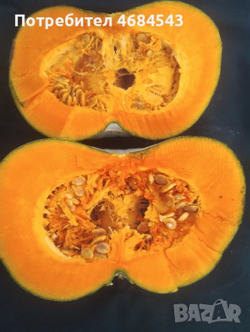 Тикви, снимка 5 - Домашни продукти - 52811884